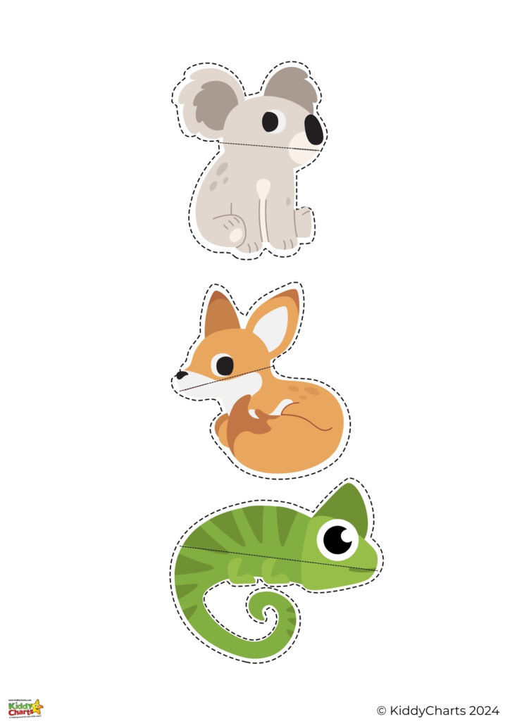 The image depicts stylized illustrations of three animals—a koala, a fox, and a chameleon—arranged vertically, each outlined with a dashed cut line.