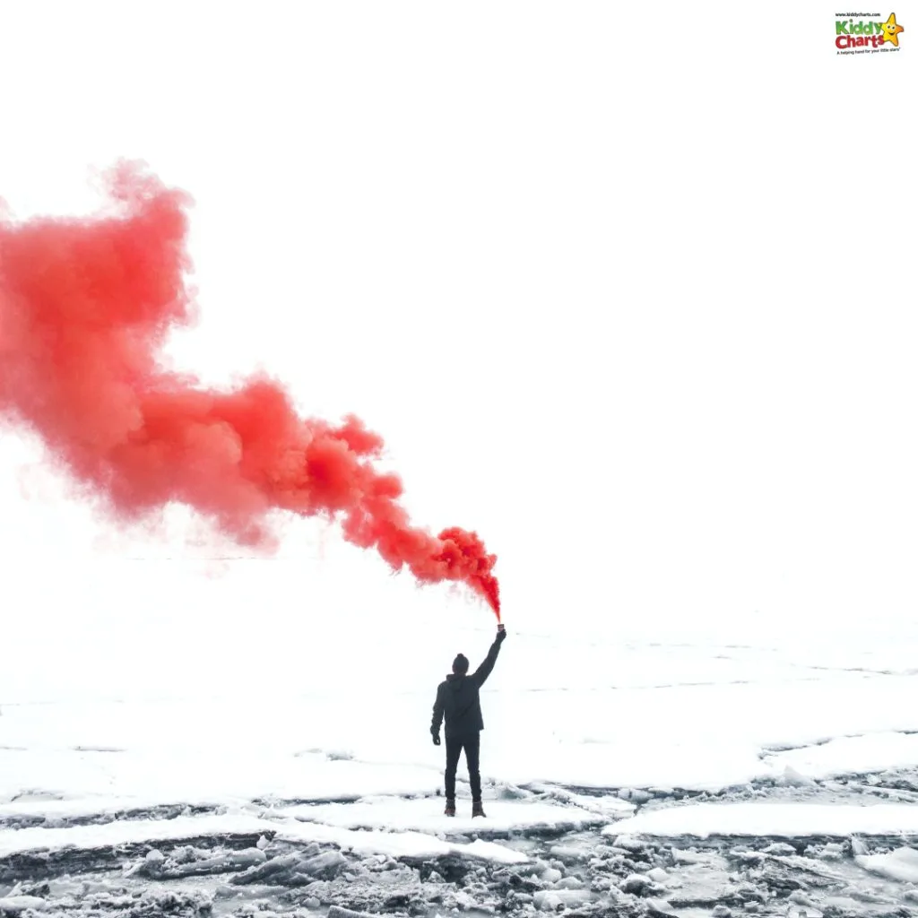 A person stands on snow, holding a red smoke flare against a stark, white sky, creating a striking visual contrast.