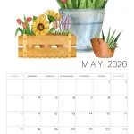 Watercolor illustration of a calendar page for May 2026, featuring tulips and sunflowers in pots.