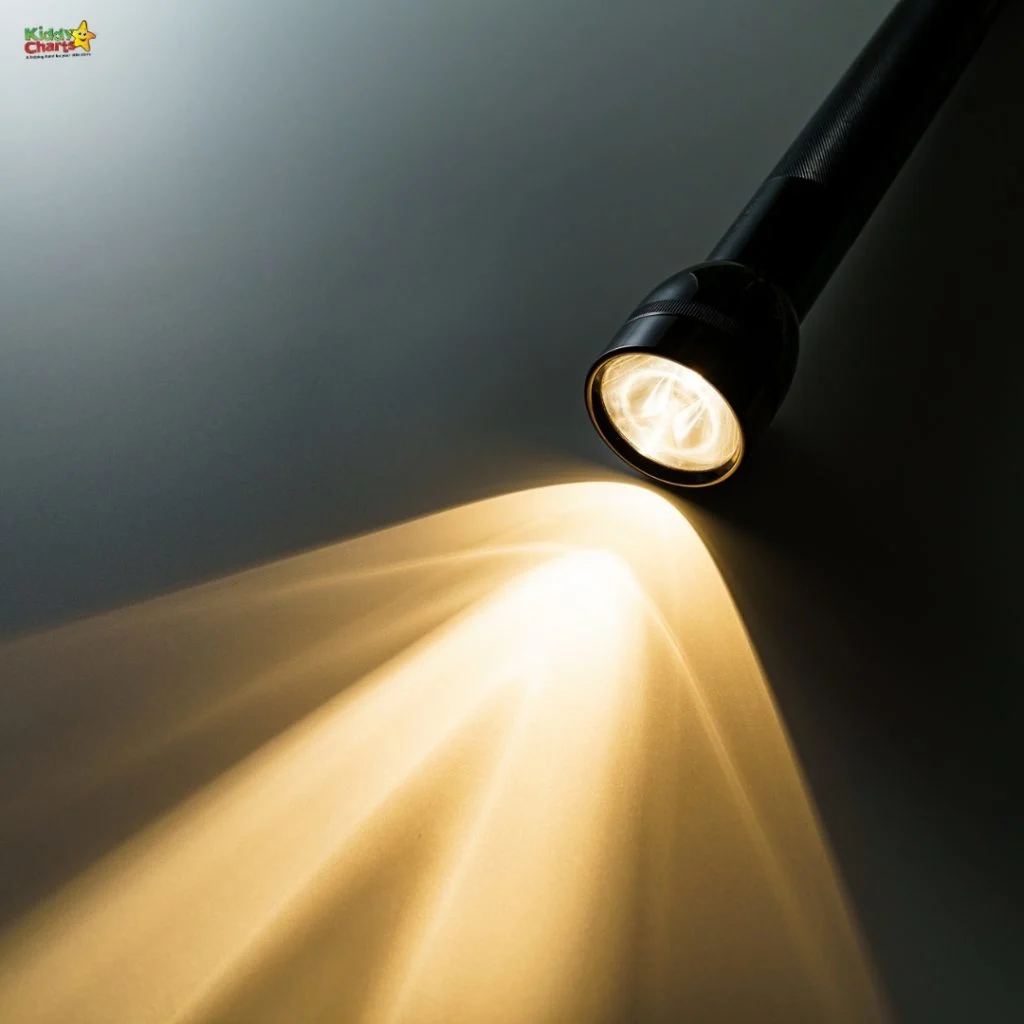 A black flashlight casts a bright beam of light on a neutral background, creating distinct shadow patterns that diverge outward.