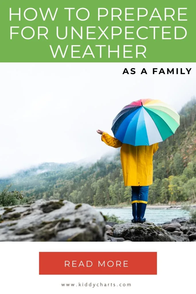 A person in a yellow raincoat holds a colorful umbrella by a river, surrounded by misty, forested mountains.