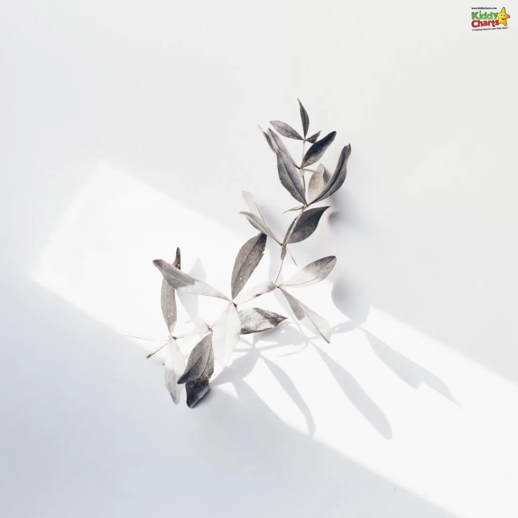A delicate, dried branch with leaves casts a shadow on a minimal white background, conveying simplicity and elegance.