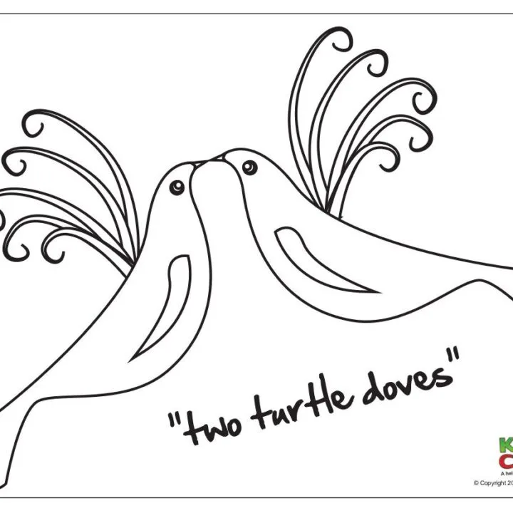 Two turtle doves colouring pages - lovely for the kids at Christmas.
