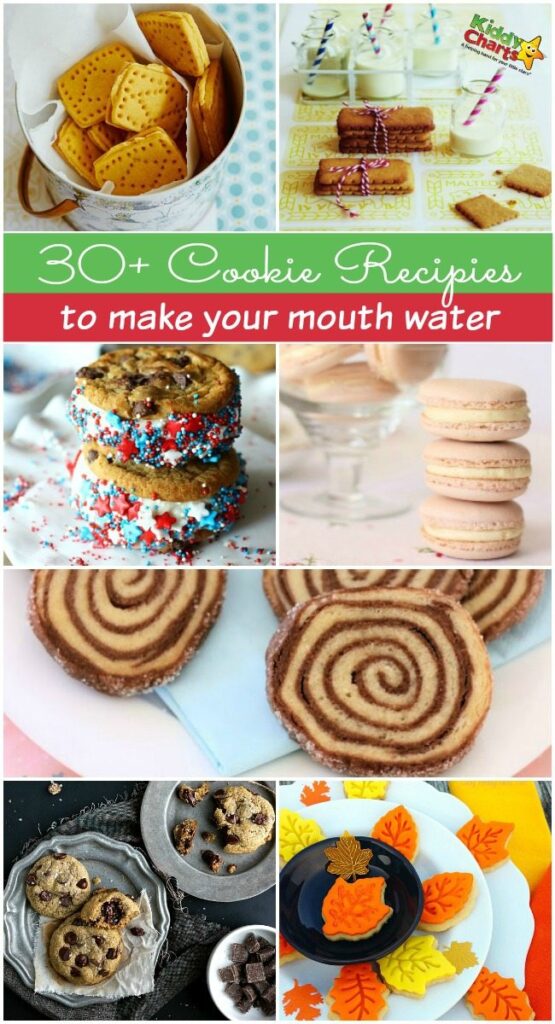 30+ Cookie recipes to make your mouth water - cake dessert and biscuit recipes