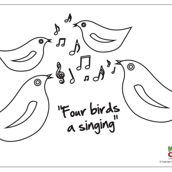 We have another 12 days of Christmas sheet for you - four calling birds or birds a singing - aren't they amazing!