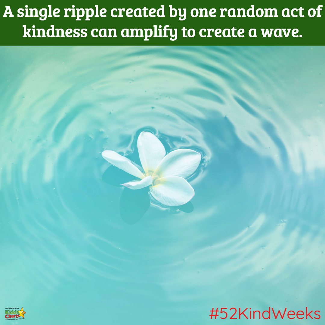 Kindness quote; and the reason for #52KindWeeks. Find out how to take part and create that wave of change. #BeKind2017