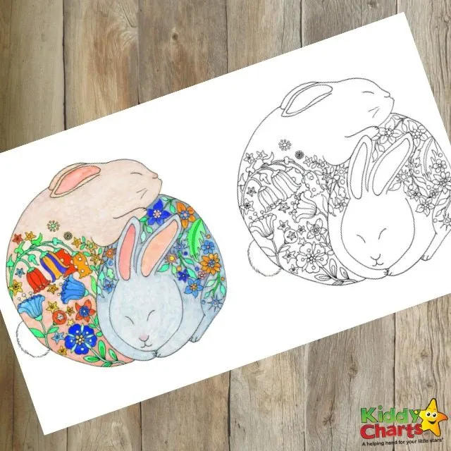 Adorbale bunny colouring page