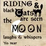 In this image, witches are seen riding on black cats in the moonlight on Halloween night.