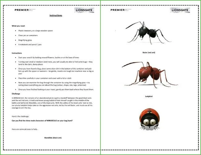 Bug hunt printable