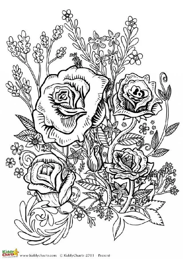 Our final coloring pages for adults is a flower design based on roses, we have another three flower designs on the site. Why not go and check them out?
