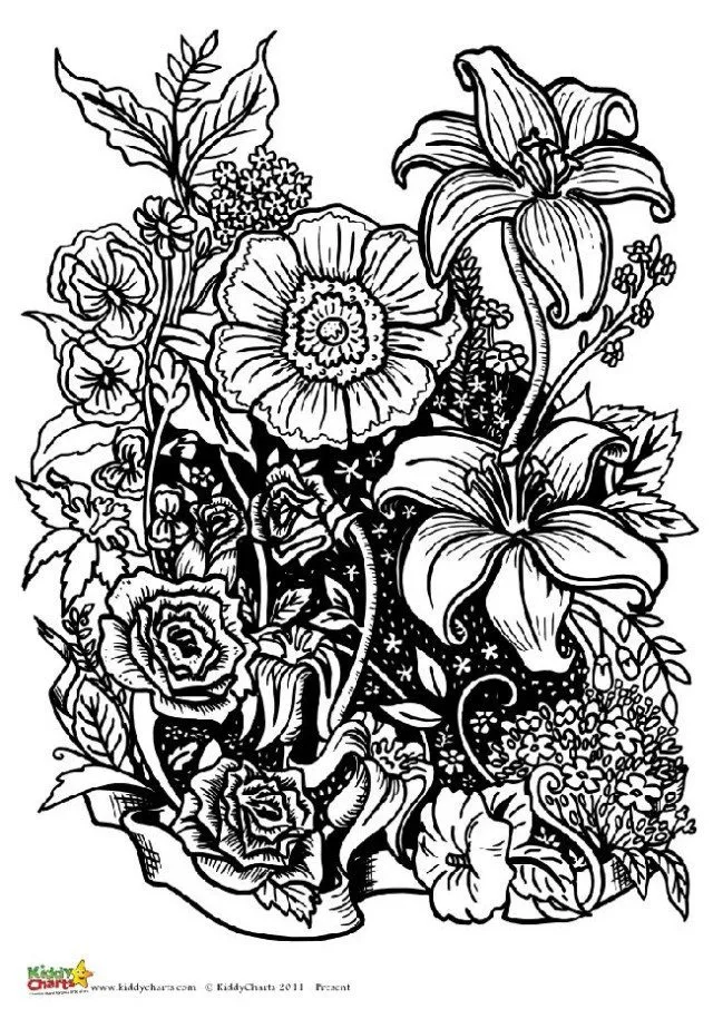 We have another flower design in this collection of coloring pages for adults. There are three more to find on the site.