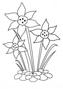 Easter coloring pages: Daffodils