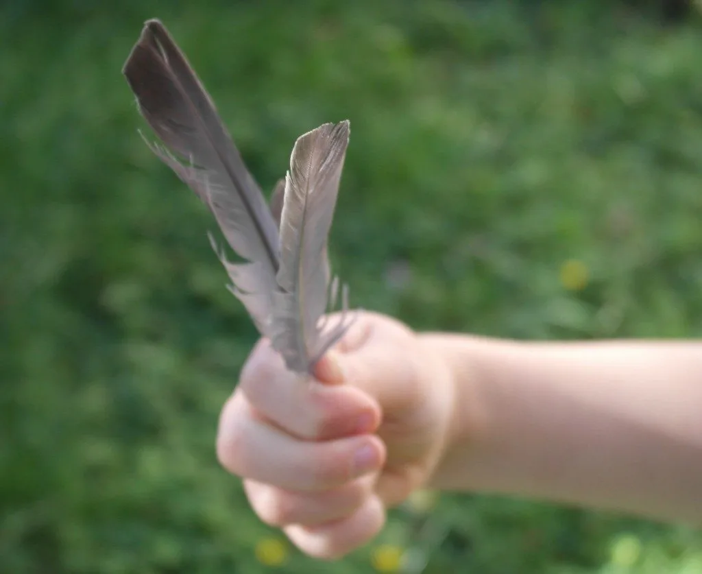 Do your children collect feathers from a day out?  Here is a clever use for them