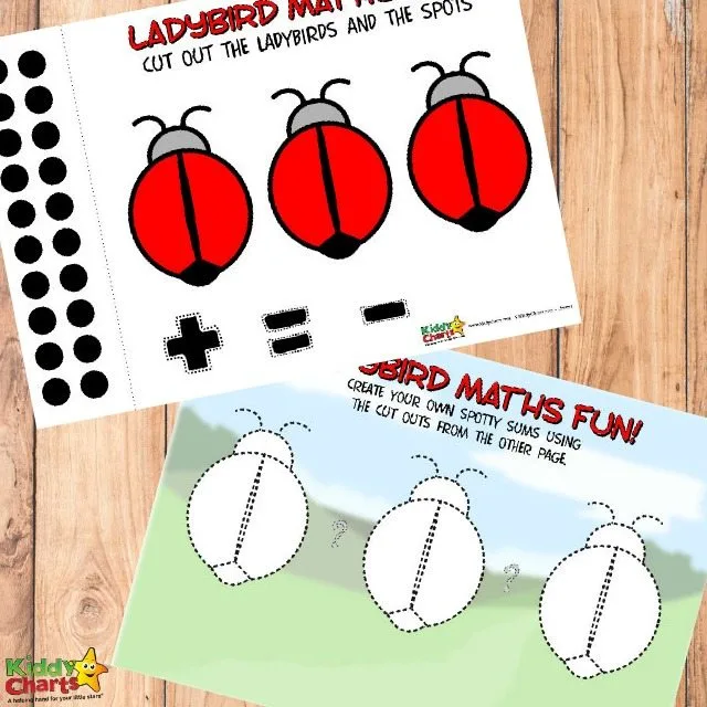 Free Ladybird Printable Math Worksheets for Kids