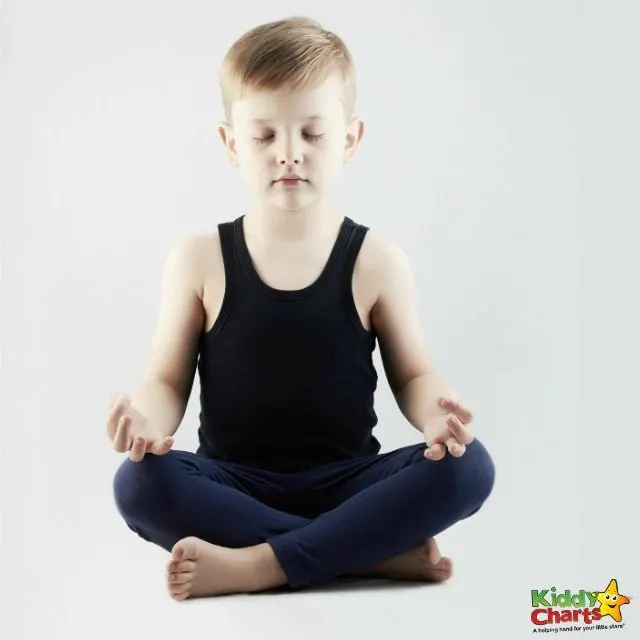 How Buddhist principles can rely help calm your kids