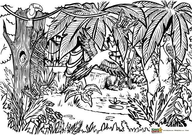 Jungle coloring for adults and kids - kiddycharts coloring
