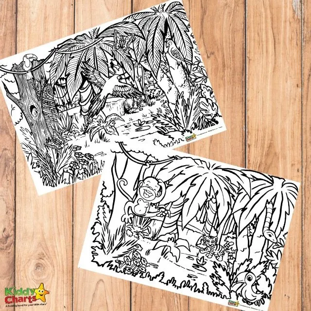 Jungle coloring for adults and kids