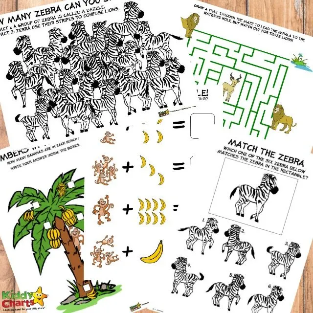 Printable Jungle Activity Sheets