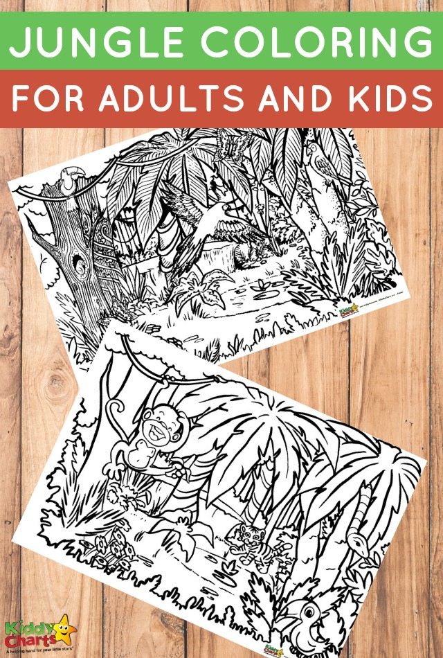 Printable jungle coloring for adults and kids #coloringpages #coloringpagesforadults #coloringpagesforkids