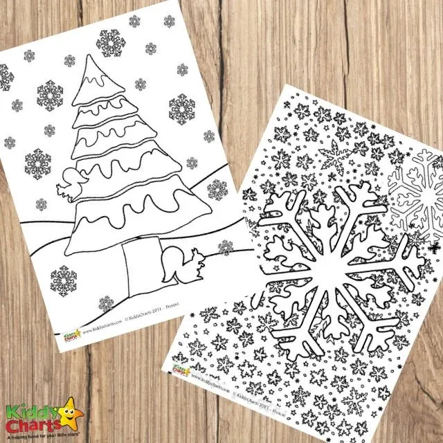 Winter colouring pages for adults and kids