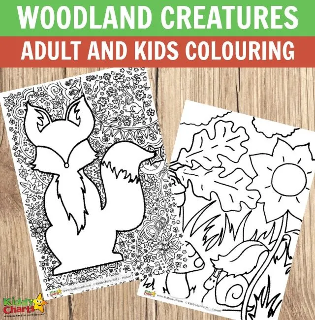 Woodland creatures adult and kids colouring pages