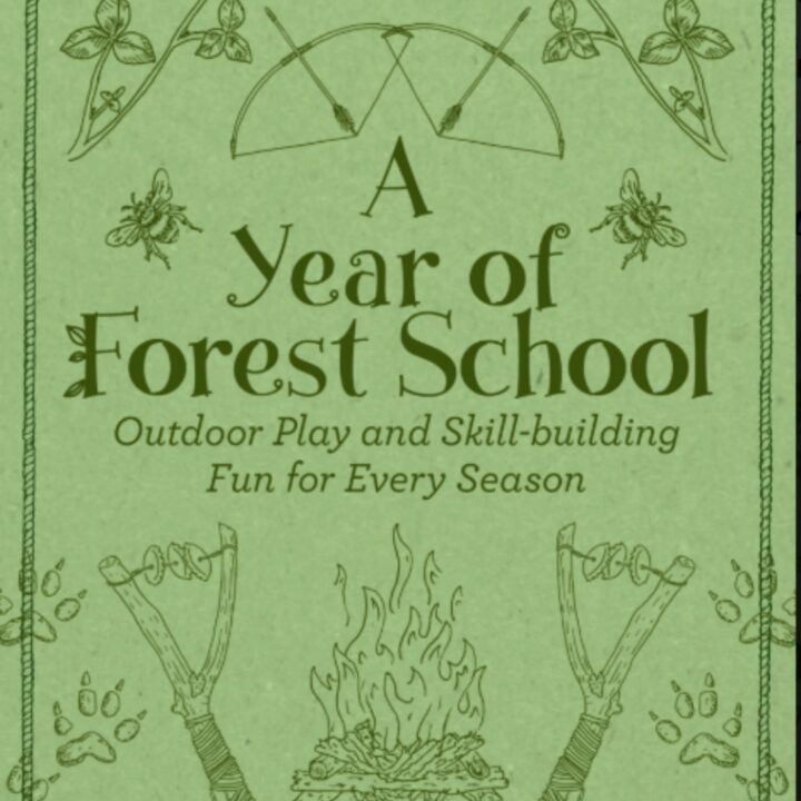 This image is a chart showing the different activities that can be done throughout the year as part of a Forest School outdoor play and skill-building program.