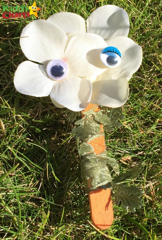 It is amazing what a couple of Googly Eyes can do - a magical tree for our fairy garden!