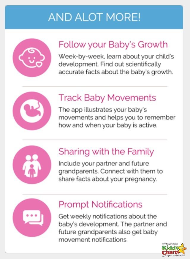 Key features within the Bonzun weeky by week pregnancy app