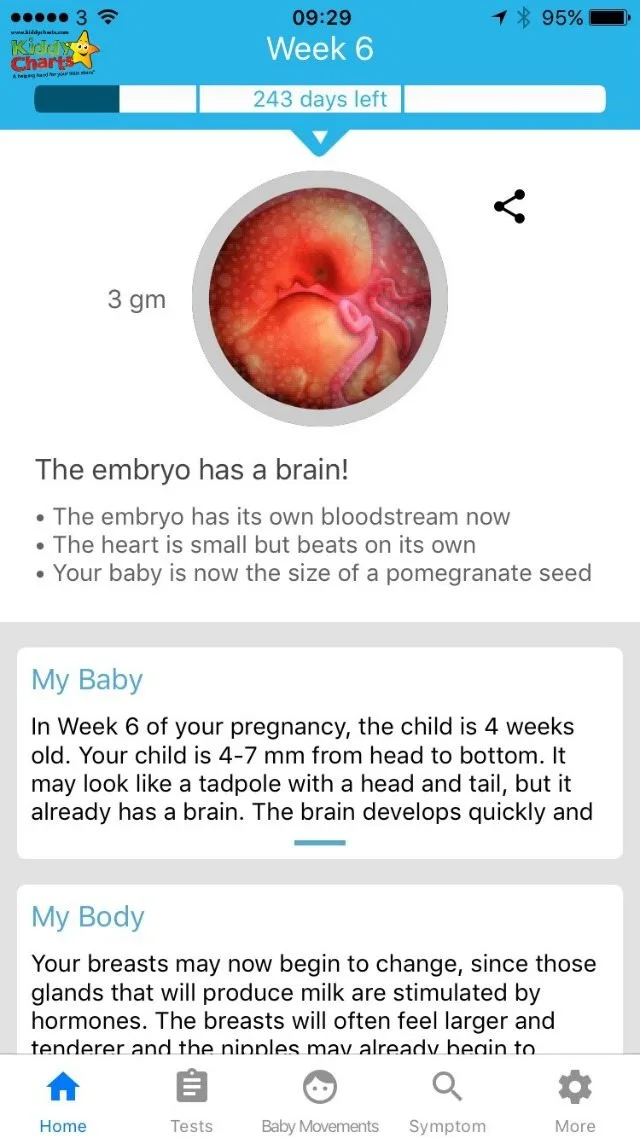 The home screen in the week by week pregnancy app from Bonzun provides lots of great information about your baby,