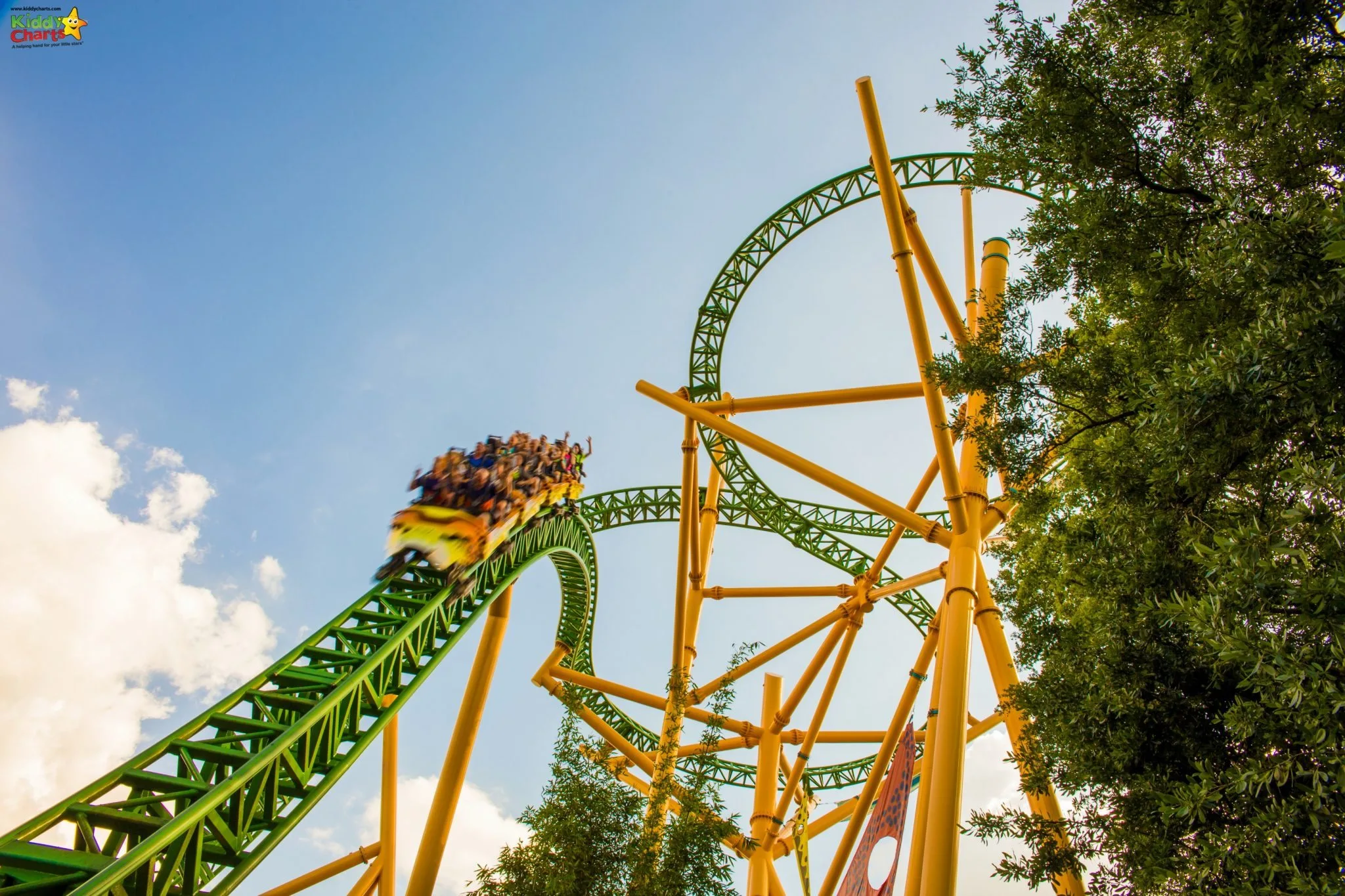 Busche Gardens Tampa's Cheetah Hunt is 3 minutes long - its a long time for you to scream, right!?!? ;-)
