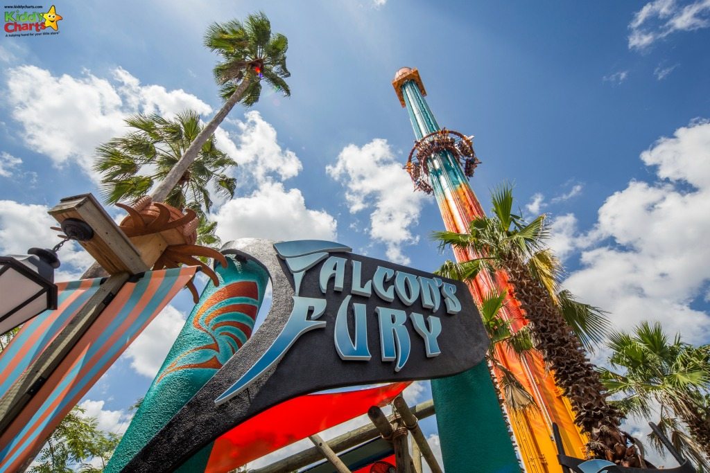You are GOING to need a strong stomach for the high drop at Falcons Fury in Busch Gardens Tampa!
