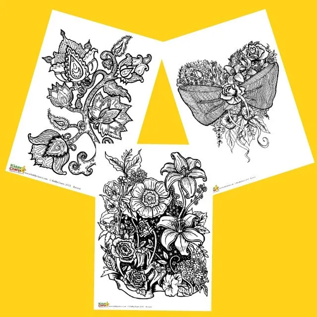 A sketch of a flower pattern is being illustrated in a detailed design.