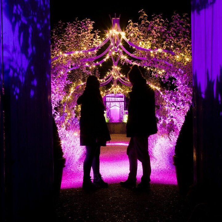 Something to look back on with the kids - take them to an Enchanted Event iin the UK with English Heritage - perfect for the run up to Christmas!