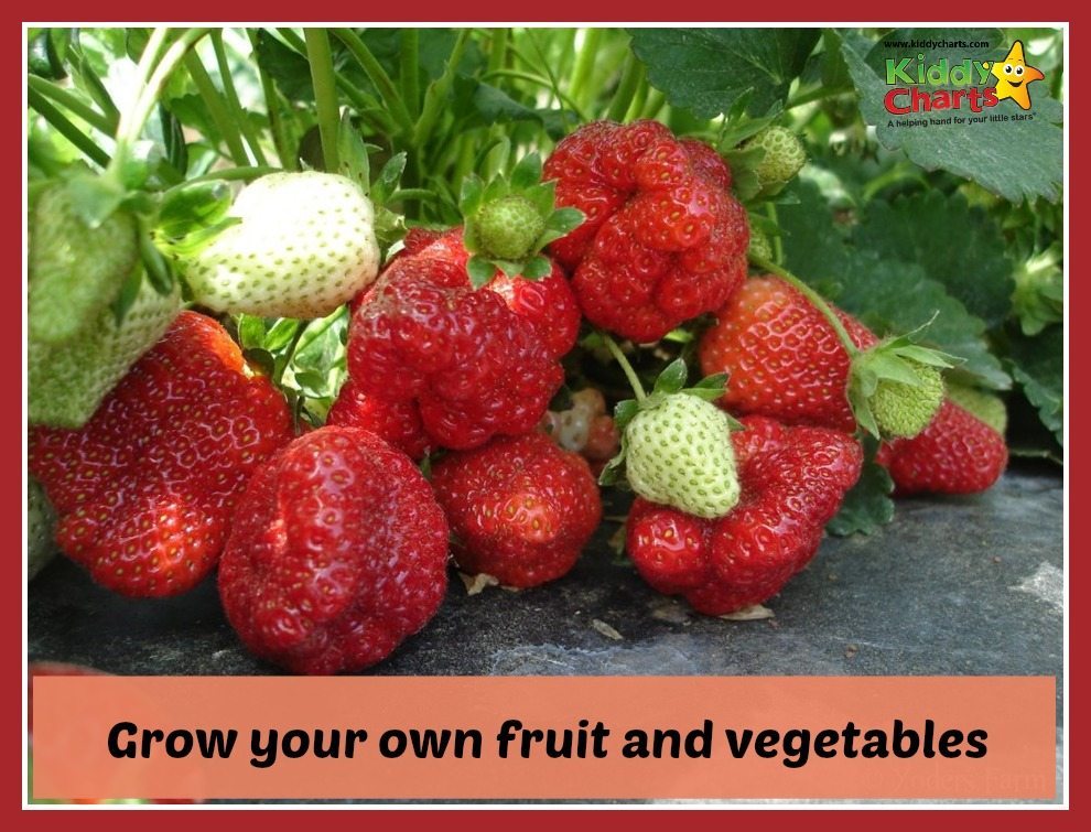 grow your own