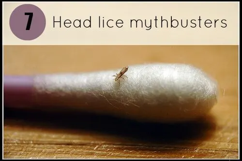 Head Lice: Myths