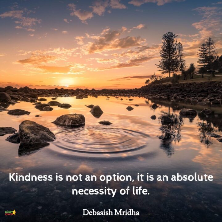 Kindness is not an option, it is an absolute necessity in life. #52KindWeeks