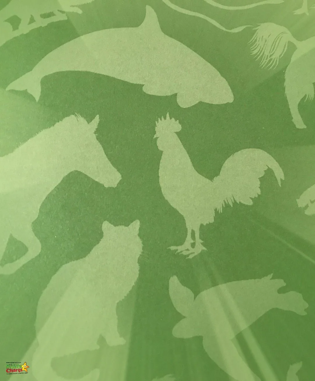 Even the book jacket could make a good wallpaper within the Lonely Planet Kids The Animal Book! ;-)
