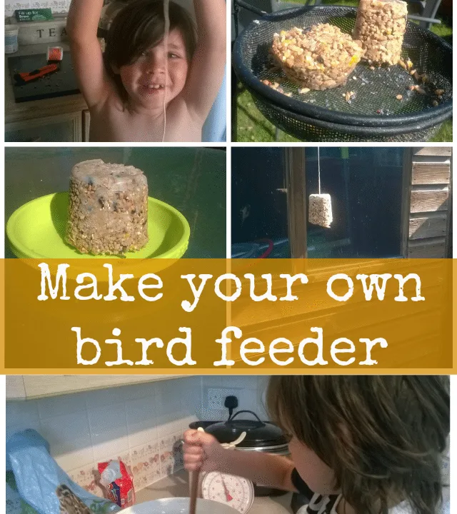This is a great activity for the summer - making your own bird feeder with the kids! They really will love getting stuck in with this one.