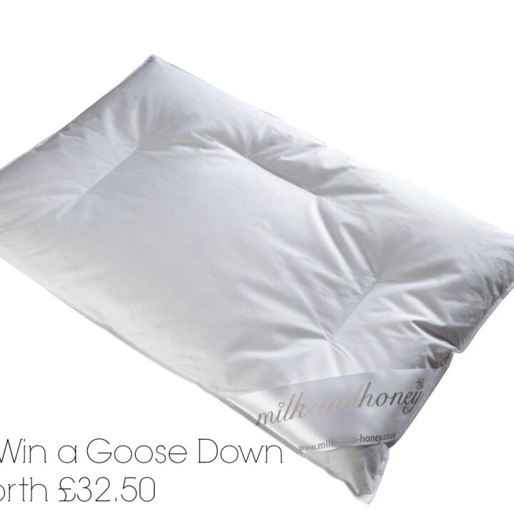 milkandhoney Pillow: Giveaway