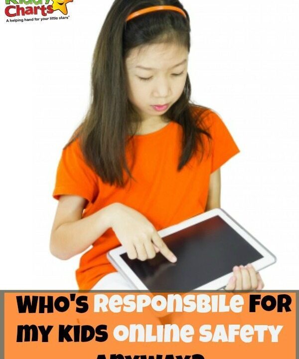 Just who should be responsible for kids online safety - shouldn't it everyone play a role in our kids eSafety?