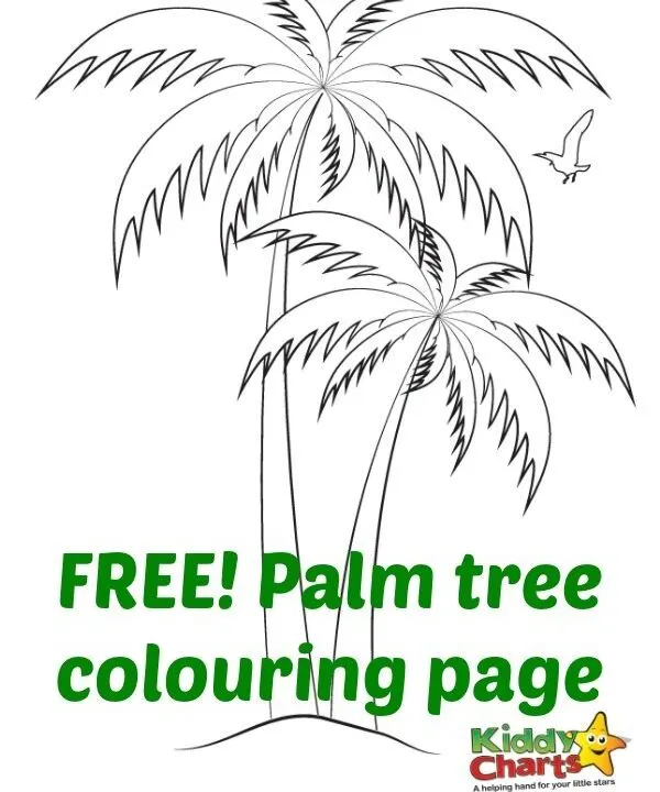Download this palm tree colouring page to add to your growing collection in our summer countdown