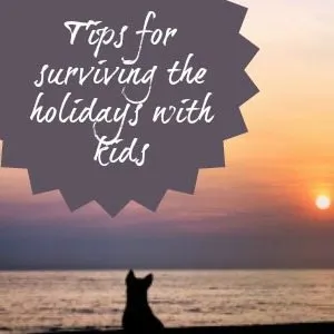 Parenting Tips: Holiday Survival