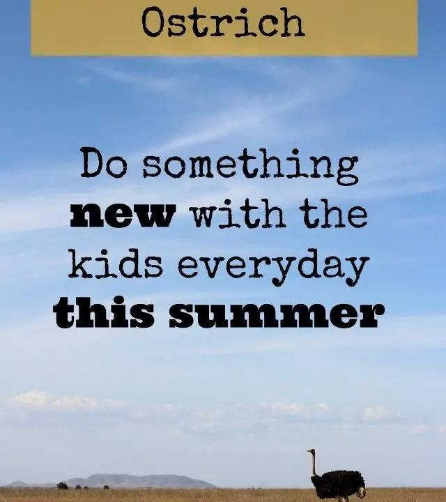 Are you sticking your head in the sand about what you need to do before the summer, or what you can do with the kids OVER the summer? Don't be an Ostrich - just set yourself a simple challenge to do something new every day with them, and life and the summer holiday activities just got simpler!