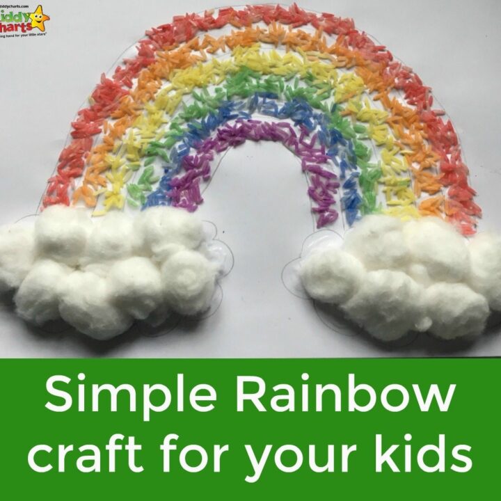This is one of those simple, gorgeous rainbow crafts that is so easy to do, you wonder why you haven't done it before. The kids will love it, and the basic tools; rice, a bag, and a few cotton balls, shouldn't be hard to find either. It is a wonderful sensory activity too thanks to the coloured rice.