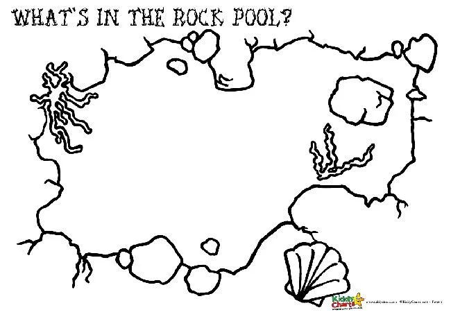 rock pool