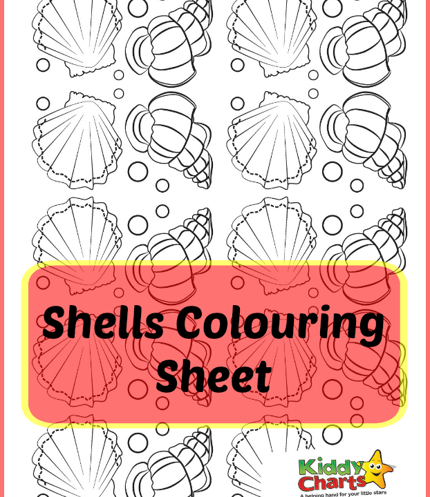 A child is coloring a sheet of shells on a Kiddy Charts website.
