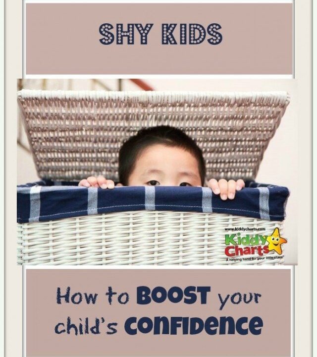 It is hard when are kids are shy - what do we do as a parent to encourage that confidence, but also not to undermine them so they feel we are criticising the way they react to those situations - here are some ideas to help build confidence in your children....
