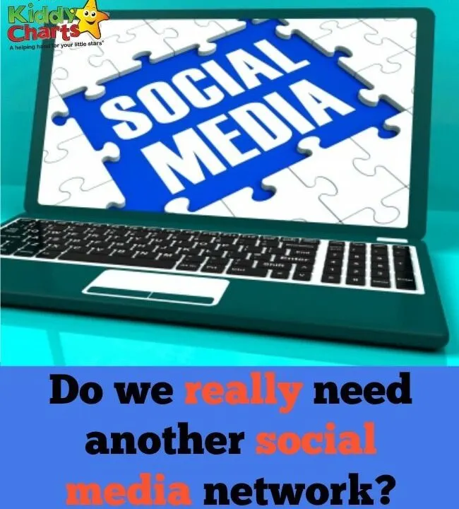 In this image, a question is being posed about the need for another social media network.