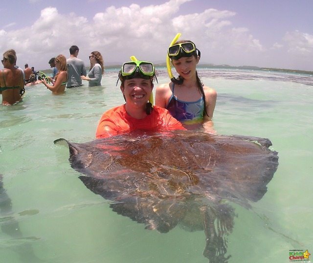 Stingray city gives you a unique chance to get up close and personal with some of the Souther Stingrays that hang out there in Antigua.