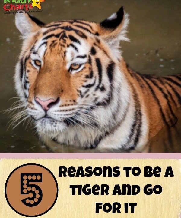 Five reasons to be a wokring mum, and plauy the tiger, so you can just go for it!